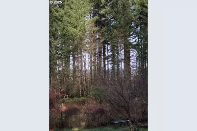 17719 NE Manning Cir, Amboy, WA 98601 - Photo 36