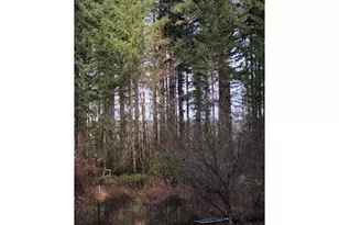 17719 NE Manning Cir, Amboy, WA 98601 - Photo 36