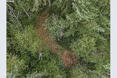 16581 SE Hagen Rd, Happy Valley, OR 97086 - Photo 12