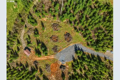 128 Brim Ridge Ln, Winlock, WA 98596 - Photo 4