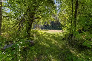 340 Speaker Rd, Wolf Creek, OR 97497 - Photo 18