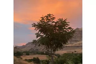 74234 Lower Imnaha River Rd, Imnaha, OR 97842 - Photo 16