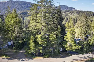 900 Greenridge St, Manzanita, OR 97130 - Photo 28