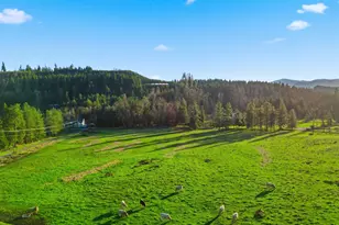 39465 Little Fall Creek Rd, Fall Creek, OR 97438 - Photo 30