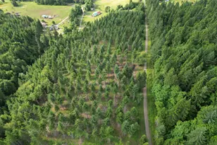 39465 Little Fall Creek Rd, Fall Creek, OR 97438 - Photo 18
