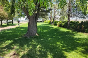 57580 Fall Rd, Christmas Valley, OR 97641 - Photo 2