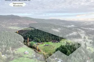 39557 Little Fall Creek Rd, Fall Creek, OR 97438 - Photo 2