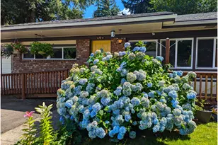 48294 Hills St, Oakridge, OR 97463 - Photo 40