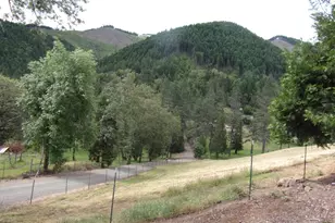 375 Jordan Creek Rd, Riddle, OR 97469 - Photo 34