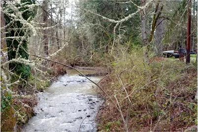 13756 Buckhorn Rd, Glide, OR 97443 - Photo 8