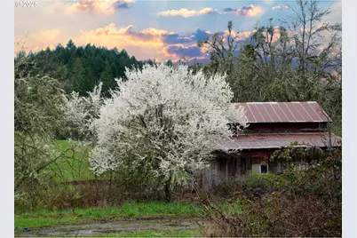 13756 Buckhorn Rd, Glide, OR 97443 - Photo 6