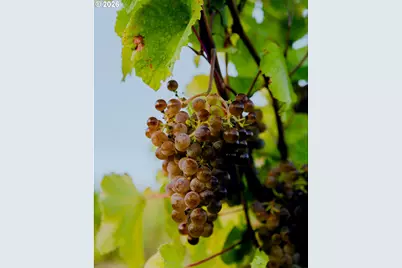 3465 Three Mile Rd, The Dalles, OR 97058 - Photo 44