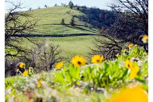 3465 Three Mile Rd, The Dalles, OR 97058 - Photo 42