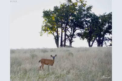 3465 Three Mile Rd, The Dalles, OR 97058 - Photo 36