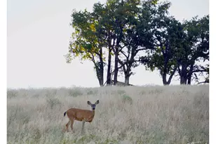 3465 Three Mile Rd, The Dalles, OR 97058 - Photo 36
