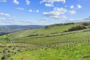 3465 Three Mile Rd, The Dalles, OR 97058 - Photo 40