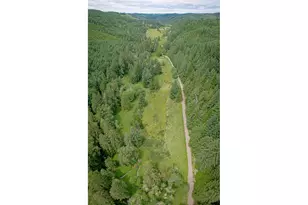 2690 Bear Creek Rd, Cottage Grove, OR 97424 - Photo 46