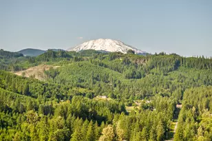 305 Fir Rd, Ariel, WA 98603 - Photo 38