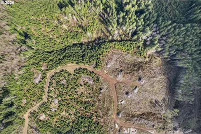 Luttrell Ln, Chinook, WA 98614 - Photo 12