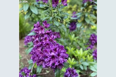 25484 E Bright Ave, Welches, OR 97067 - Photo 44