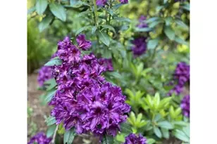 25484 E Bright Ave, Welches, OR 97067 - Photo 44