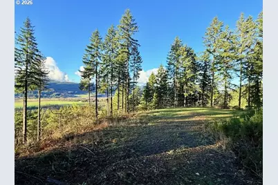 Alder Branch Rd, Springfield, OR 97478 - Photo 1