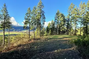 Alder Branch Rd, Springfield, OR 97478 - Photo 1