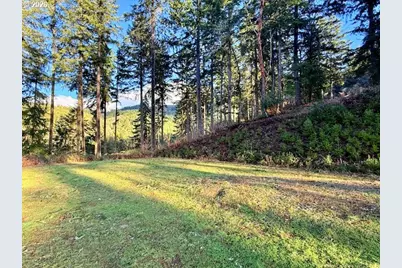 Alder Branch Rd, Springfield, OR 97478 - Photo 4