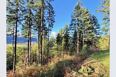 Alder Branch Rd, Springfield, OR 97478 - Photo 10