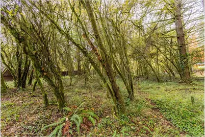 Nw Miller Ln, Albany, OR 97321 - Photo 14
