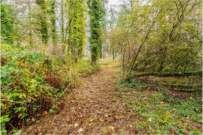 Nw Miller Ln, Albany, OR 97321 - Photo 8
