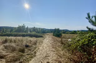 79128 Territorial Hwy, Lorane, OR 97451 - Photo 12