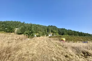 79128 Territorial Hwy, Lorane, OR 97451 - Photo 16