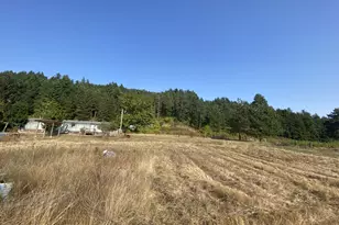 79128 Territorial Hwy, Lorane, OR 97451 - Photo 20