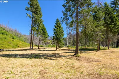 Blue River Rd, Eugene, OR 97401 - Photo 4