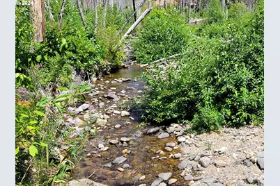 Blue River Rd, Eugene, OR 97401 - Photo 2
