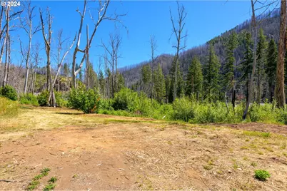 Blue River Rd, Eugene, OR 97401 - Photo 36