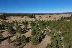55363 Smock Rd, Tygh Valley, OR 97063 - Photo 32
