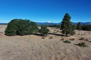 55363 Smock Rd, Tygh Valley, OR 97063 - Photo 26