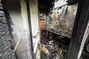 4611 N Minnesota Ave, Portland, OR 97217 - Photo 10