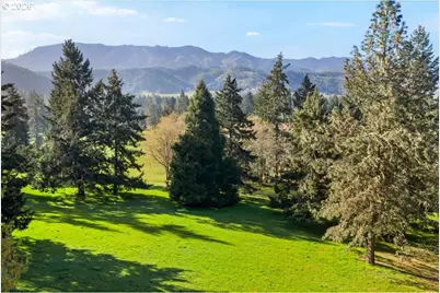 924 Lou Gray Dr, Myrtle Creek, OR 97457 - Photo 38