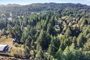 96120 Cape Ferrelo Rd, Brookings, OR 97415 - Photo 46