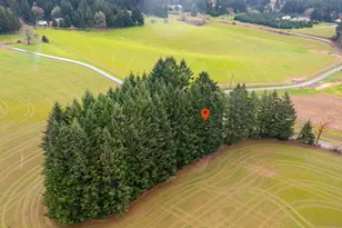 7001 SW Winters Rd, Cornelius, OR 97113 - Photo 14