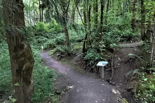 9778 SE Talbert St, Clackamas, OR 97015 - Photo 24