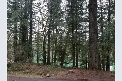 21970 S River Lake Rd, Estacada, OR 97023 - Photo 4