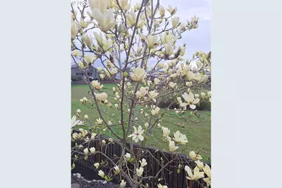 1275 S 15th Way, Ridgefield, WA 98642 - Photo 42