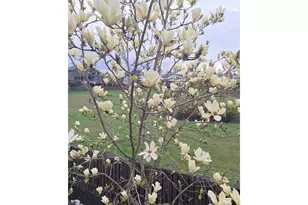 1275 S 15th Way, Ridgefield, WA 98642 - Photo 42