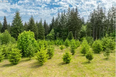 3900 NE 425th St, Woodland, WA 98674 - Photo 34