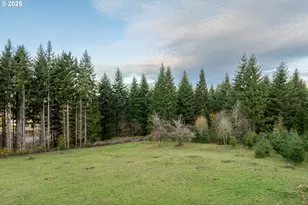 3900 NE 425th St, Woodland, WA 98674 - Photo 34