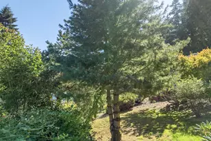 305 9th St, Garibaldi, OR 97118 - Photo 16
